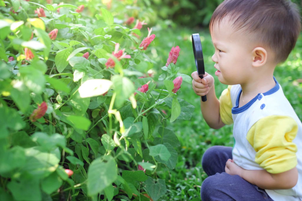 Getting Outside Every Day With B-Ball And Gardening- Preschool & Daycare Serving Milton, Harrington, Dover & Camden, DE